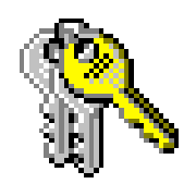 Computer Icon